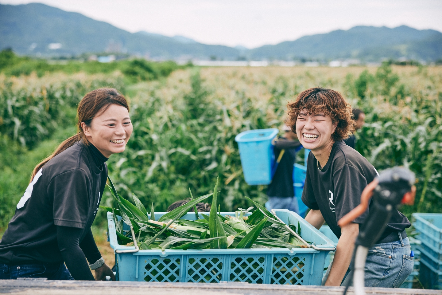 農業の可能性を探求する。