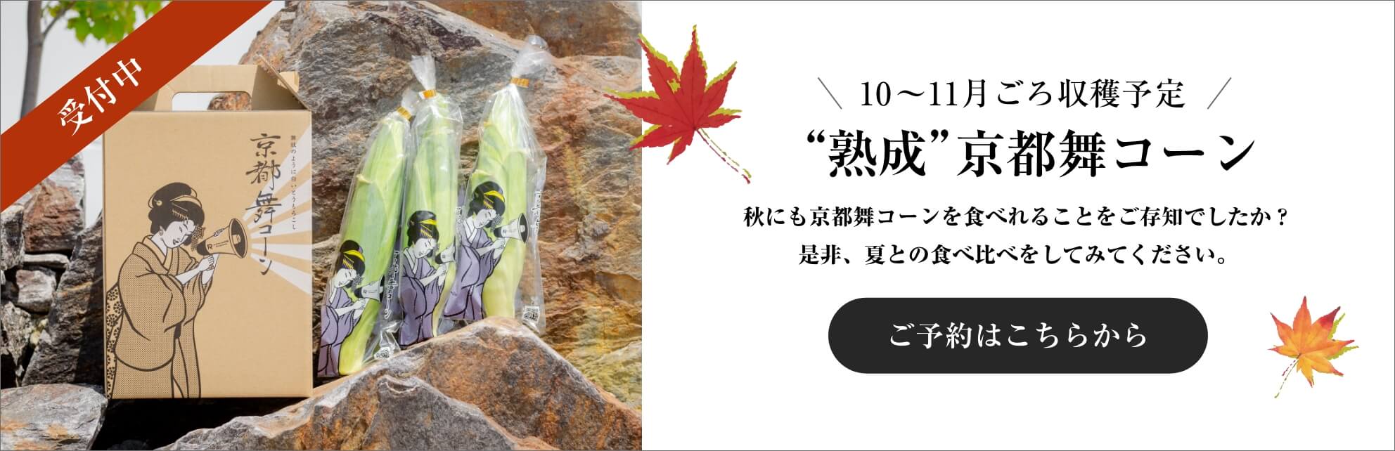 ご予約受付中！ 10〜11月ごろ収穫予定 熟成京都舞コーン 秋にも京都舞コーンを食べれることをご存知でしたか？是非、夏との食べ比べをしてみてください。 ご予約はこちらから